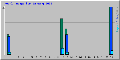 Hourly usage for January 2023